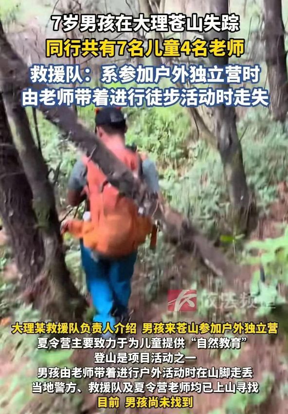 愿者发声：有逃跑记录求寻找建议！j9国际7岁自闭症男童苍山失联志(图8)