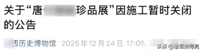 博物馆集体闭馆背后“保护伞”藏不住了九游会j9登录徐湖平被带走后20多家(图3)
