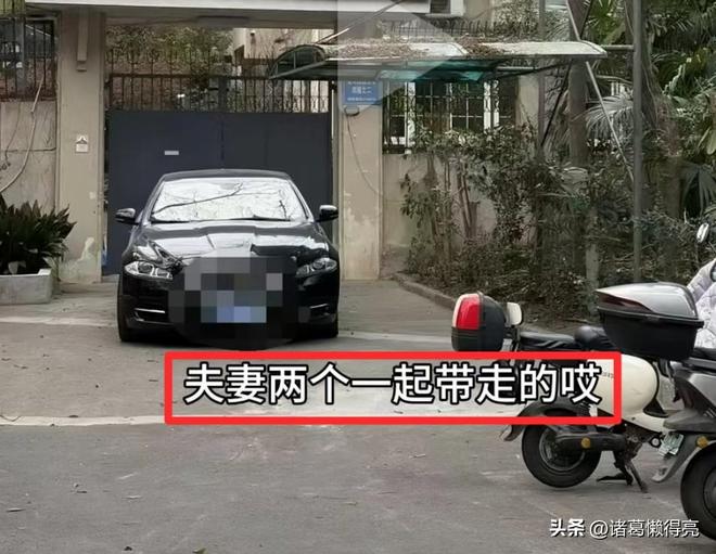 博物馆集体闭馆背后“保护伞”藏不住了九游会j9登录徐湖平被带走后20多家(图6)